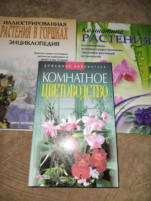 Книга "Комнатные растения. Большая энциклопедия" - купить книгу в  интернет-магазине «Москва» ISBN: 978-5-17-061523-0, 555796