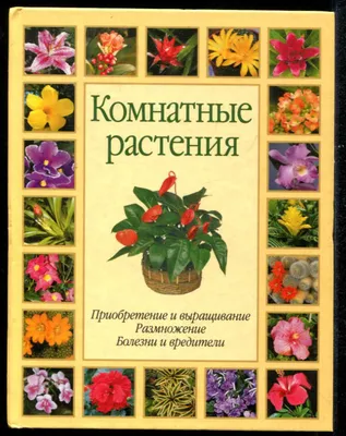 Лучшие комнатные растения. Практическая энциклопедия домашнего цветовода.  (Марина Лацис) - купить книгу с доставкой в интернет-магазине  «Читай-город». ISBN: 978-5-699-45508-9