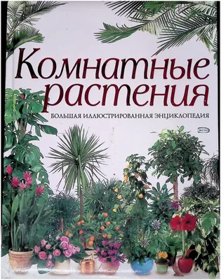 Комнатные растения. Мини-энциклопедия. — купить в Красноярске. Состояние:  Б/у. Сад, огород, цветы на интернет-аукционе 