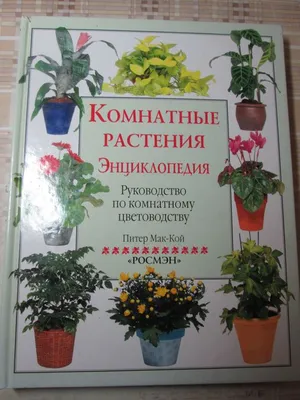 Комнатные растения. Большая иллюстрированная энциклопедия — купить в  интернет-магазине по низкой цене на Яндекс Маркете