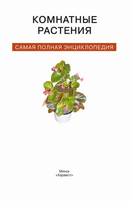 Комнатные растения. Энциклопедия. Горбачева.... | eBay