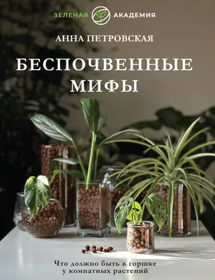 Иллюстрация 9 из 48 для Комнатные растения - Нико Вермейлен | Лабиринт -  книги. Источник: Лабиринт