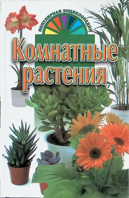 Самые ароматные комнатные растения. Цветы с лучшим запахом. Список названий  с фото — Ботаничка