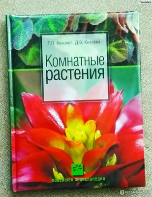 Болезни и вредители комнатных цветов. Диагностика и лечение