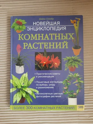 Когда и как подкармливать комнатные растения? Фото — Ботаничка