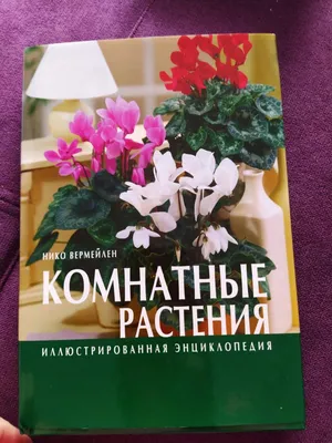 Иллюстрация 29 из 48 для Комнатные растения - Нико Вермейлен | Лабиринт -  книги. Источник: Сохач Екатерина