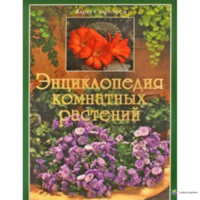 Комнатные растения.100 самых популярных. Якушева Маргарита - «Компактная,  красочная, полезная энциклопедия для любителей комнатных растений.» | отзывы