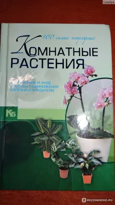 Plantorama - декоративные комнатные растения, энциклопедия, фото и уход