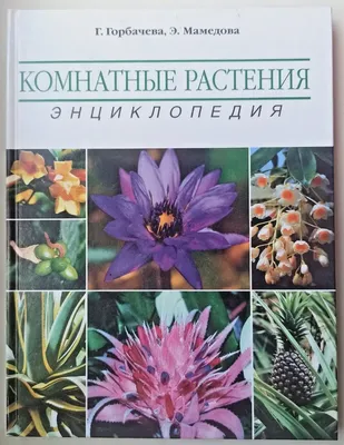 Комнатные растения — Википедия