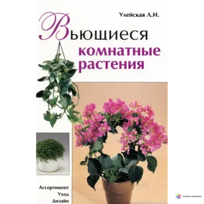 Комнатные вьющиеся цветы: от прихожей до лоджии