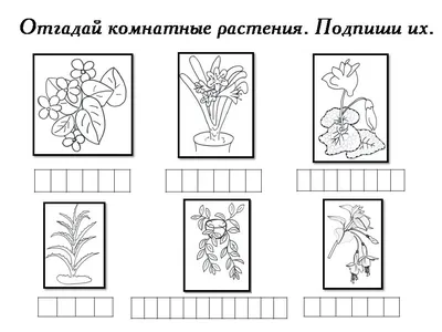 Комнатные растения и уход за ними. Демонстрационный материал.