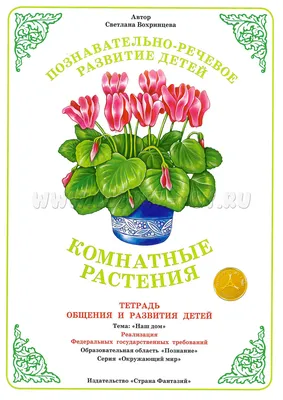 Маркировка: Комнатные цветы в детском саду и школе