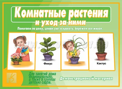 Иллюстрация 8 из 9 для Раздаточные карточки "Комнатные растения" 63х87 мм.  | Лабиринт - книги. Источник: Абра-