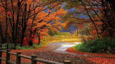 Природа осень на рабочий стол - фото и картинки 