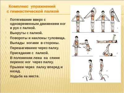 Комплекс упражнений с гимнастической палкой - online presentation
