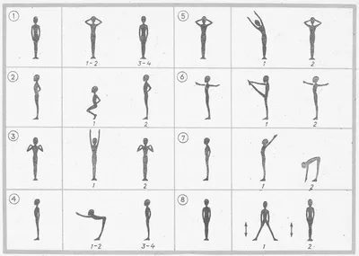 Гимнастическая палка для осанки: 10 упражнений на спину, ноги и пресс |  Инфографика | Аргументы и Факты
