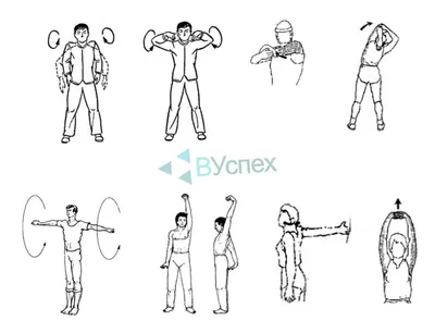 Комплекс упражнений для утренней зарядки мужчинам и женщинам