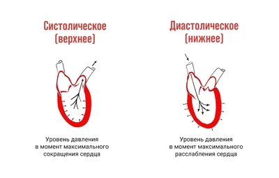 Понижение давления за 15 минут – Йога для начинающих. - YouTube