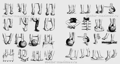 Самые эффективные упражнения для профилактики и лечения плоскостопия. Блог  интернет-магазина Wallbarz.