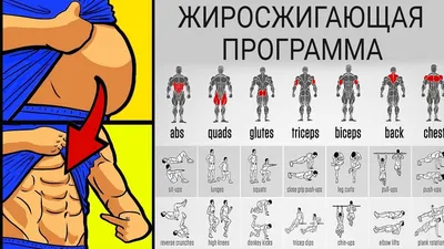 Тренировки для подростков в тренажерном зале - Фитнес клуб FITNESS 24