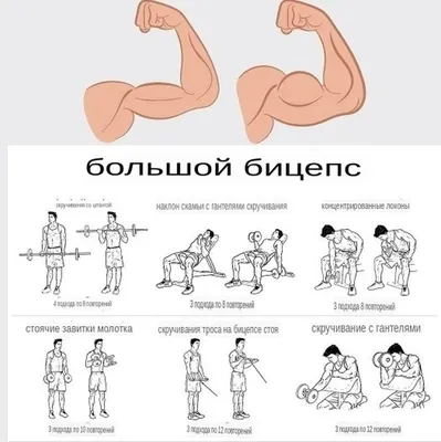 Физкультура против коронавирусной инфекции: комплекс упражнений для детей и  взрослых