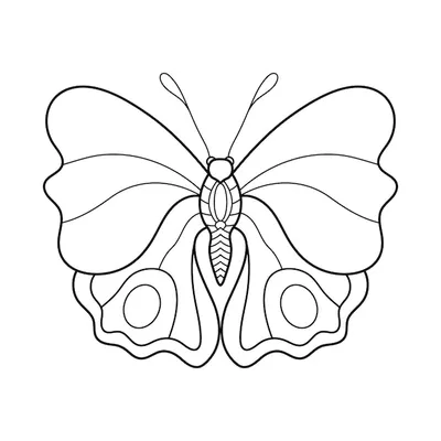 Бабочка контур: векторные изображения и иллюстрации, которые можно скачать  бесплатно | Freepik