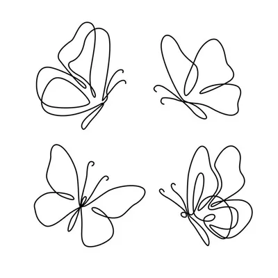 Дизайн контура бабочки от вида сверху – Бесплатные иконки: животные