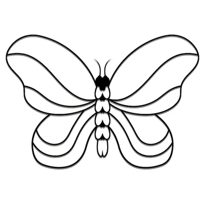 Раскраска бабочка контур - 75 фото