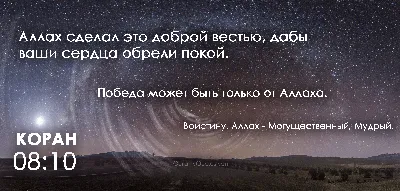 То, что мы можем заучивать Коран наизусть – это чудо Всевышнего Аллаха» |  Ислам в Дагестане