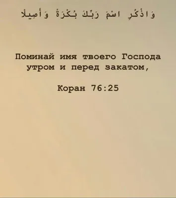 Генпрокуратура Анкары расследует инциденты с сожжением Корана - РИА  Новости, 