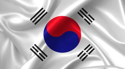 Флаг Южной Кореи на стену большой 90х135 флаги стран мира Заверните!  16045966 купить за 839 ₽ в интернет-магазине Wildberries
