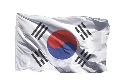 Флаг Южной Кореи на стену большой 90х135 флаги стран мира Заверните!  16045966 купить за 839 ₽ в интернет-магазине Wildberries