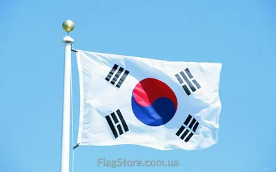 Картина "Корейский флаг, республика корея, флаг" для интерьера на стену /  Декор в дома, спальню, на кухню, детскую комнату, 125 см х 62 см - купить  по низкой цене в интернет-магазине OZON (1139242724)