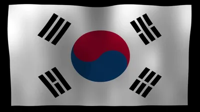 Что означают национальные символы Кореи (флаг, герб, гимн) 🌺? | Молодежное  движение корейцев Москвы | МДКМ | Дзен