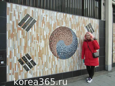 3x5fts Kr Kr Южная Корея Флаг Корейский Прямой Фабрика 90cmx150cm От 141  руб. | DHgate