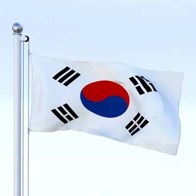 Флаг Республики Корея | Азия головного мозга | Дзен