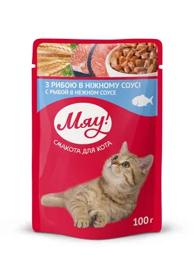 Корм Whiskas сухие подушечки для кошек нежный паштет, со вкусом лосося