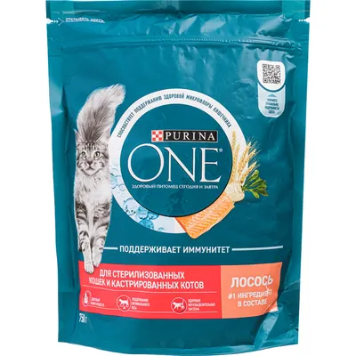 Корм для кошек «Purina One» сухой, индейка и злаки, 750 г купить в Минске:  недорого в интернет-магазине Едоставка