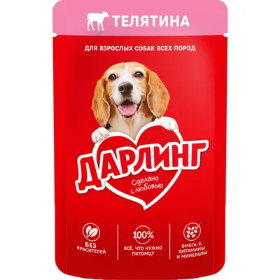 Купить корм для собак в Минске - Едоставка