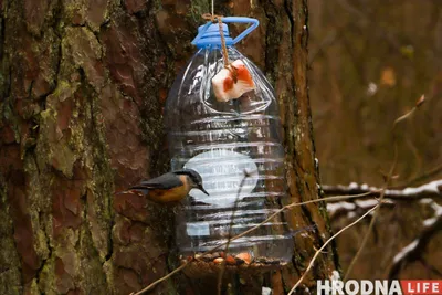 Кормушка для птиц уличная из чугуна Домик купить в Москве | цены в магазине  Simdecor