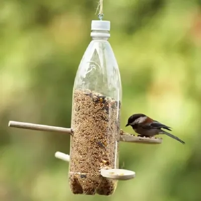 Кормушка для птиц из бутылки - 70 фото