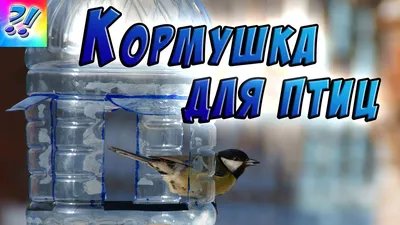 Не забудьте про пернатых – сделайте кормушку для птиц | Вдохновение  (Огород.ru)