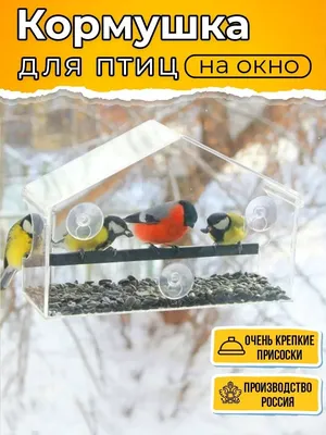 Кормушка для птиц на окно Сытые птички 17700789 купить за 1 646 ₽ в  интернет-магазине Wildberries