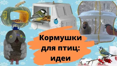 Съемные кормушки для колибри, пластиковые подвесные кормушки для птиц,  товары для птиц, сад – лучшие товары в онлайн-магазине Джум Гик