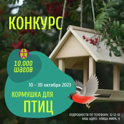 Купить кормушка для птиц GARDEN SHOW Бункер, для крупнозернового корма,  пластик, зеленый, цены на Мегамаркет | Артикул: 600003268820