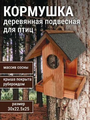 Как сделать кормушку для птиц своими руками – Статьи и обзоры – Экономстрой