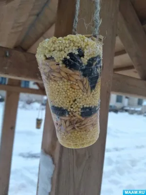 How to make a bird feeder. DIY ideas. - YouTube