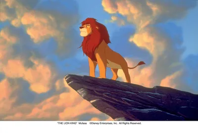 Все кадры из мультфильма "Король Лев (The Lion King) (1994)"