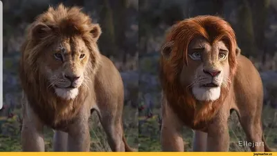 Герои «Короля Льва» в человеческой одежде | Fotos del rey leon, Rey leon,  El rey leon