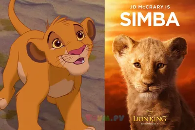 Раскраска Симба и Нала | Раскраски из мультфильма Король лев (Lion King)